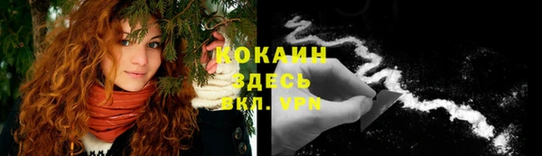 прущие крисы Горняк
