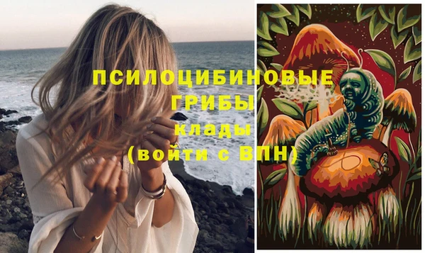 бошки Абдулино
