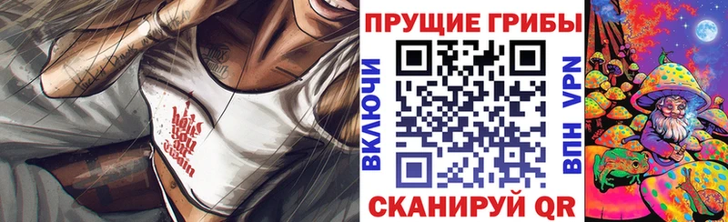площадка официальный сайт  Тутаев  Галлюциногенные грибы Magic Shrooms 